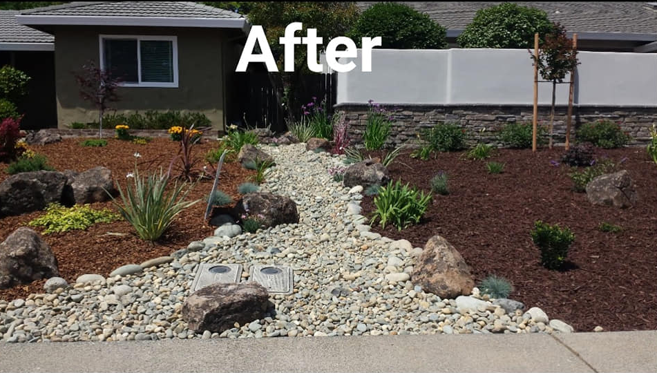 Neighboring Front Yards Redesign - after
