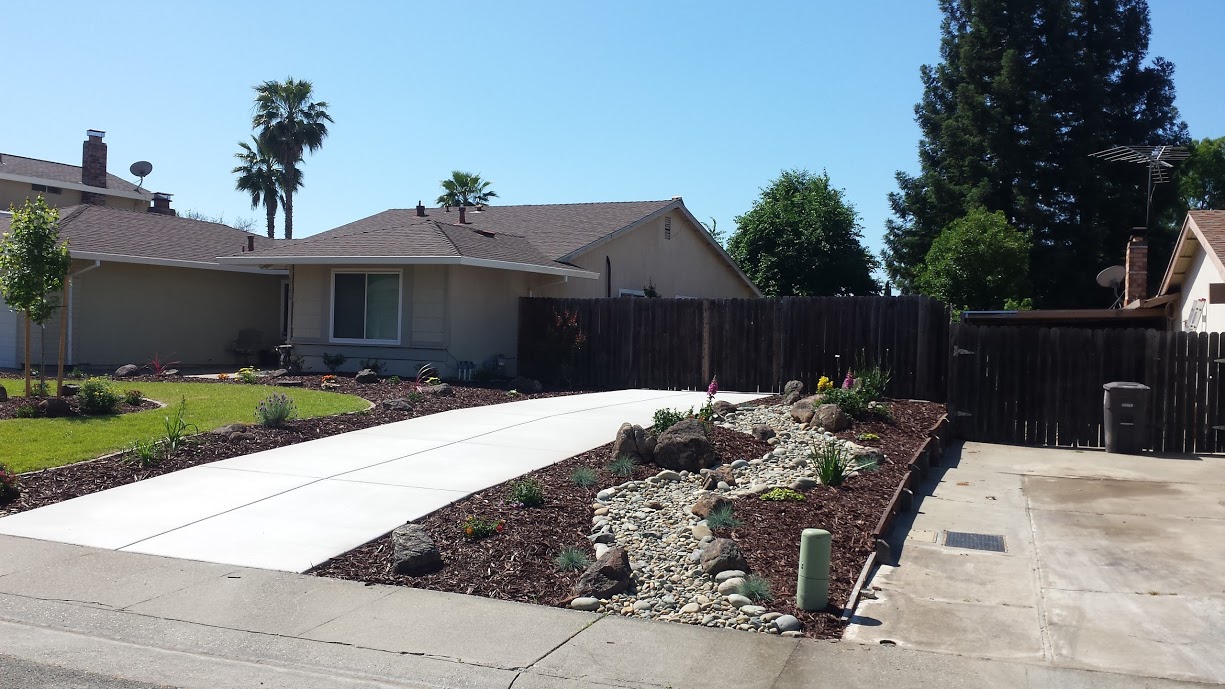 Driveway Xeriscape & Curb Appeal - after