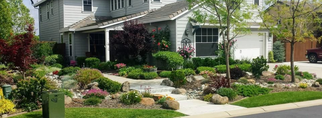 Beautifully landscaped front yard with drought-tolerant plantings and natural stone pathways in Roseville, CA